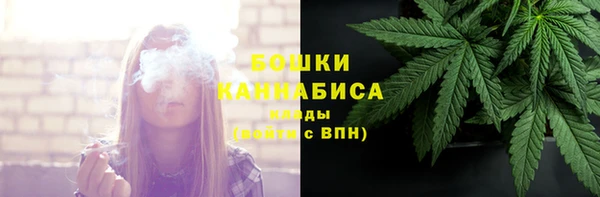 ГАЛЛЮЦИНОГЕННЫЕ ГРИБЫ Балабаново