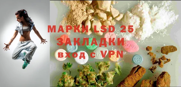 ГАЛЛЮЦИНОГЕННЫЕ ГРИБЫ Балабаново