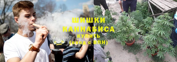 PSILOCYBIN Новокубанск